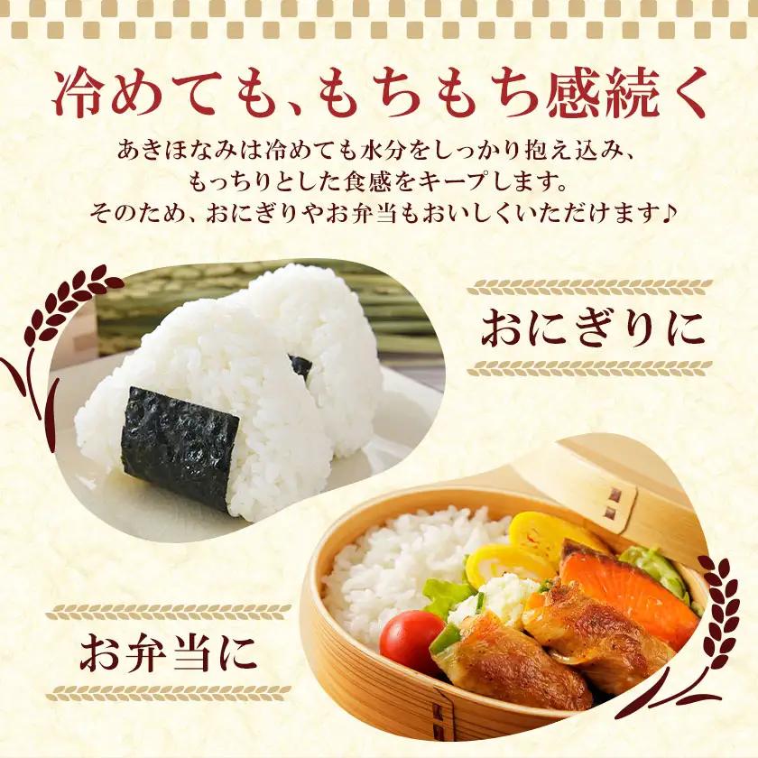 お米 無洗米 あきほなみ 5kg×2袋 有限会社 谷口商店 《30日以内出荷予定(土日祝除く)》