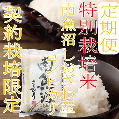 ふるさと納税 南魚沼市 【毎月定期便】【特別栽培米2Kg】生産者限定 南魚沼しおざわ産コシヒカリ全3回