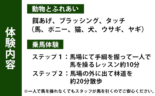 動物ふれあい＆乗馬体験 『わくわくコース』約30分 2名 CC-3