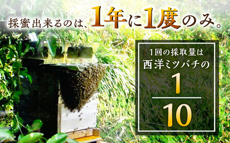 【コクと味わい深い甘み】日本蜜蜂 百花 はちみつ 200g 純粋蜂蜜 /永尾 忠則 [UAS003] ハチミツ 蜂蜜 国産 純粋 百花蜜 日本みつばち ハニー 常温 佐賀 九州産 お取り寄せ