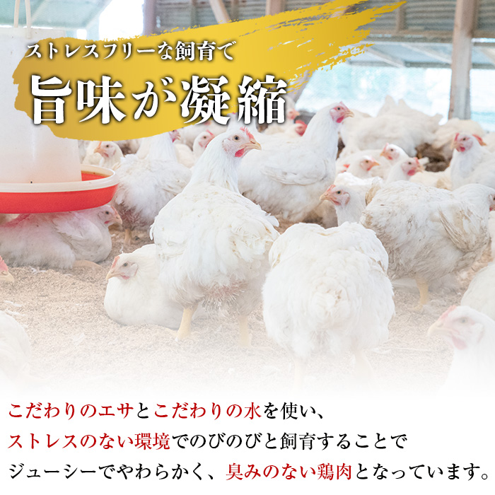 A0-302-B ＜2026年5月発送(5月31日迄に発送)＞三世代続く鶏肉店の鶏刺し(計600g・200g×3パック)【海江田鶏肉店】霧島市 鹿児島 国産 鳥刺し 鳥肉 鶏肉 モモ ムネ もも肉 む
