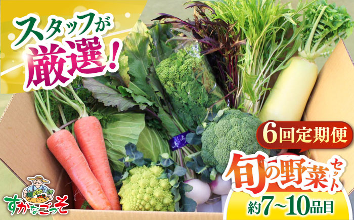 
【全6回定期便】よこすか野菜セット すかなボックス 【JAよこすか葉山】 [AKFO008]
