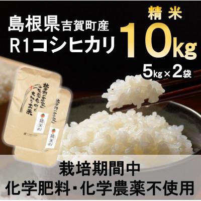 ふるさと納税 吉賀町 【栽培期間中化学肥料・化学農薬不使用】令和7年産R1米コシヒカリ10kg(精米)