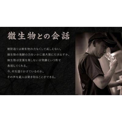 ふるさと納税 えびの市 【宮崎焼酎】本格焼酎「月の女神Mild」1800ml×6本セット |  | 02