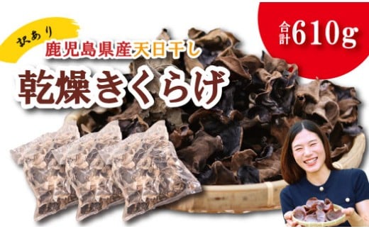 ＼訳アリ”／鹿児島県産天日干し乾燥きくらげ 合計610g 国産 訳あり 訳アリ 業務用 乾燥きくらげ 野菜 きのこ 健康 食物繊維 低カロリー エムズ わか農園 サラダ みそ汁 スープ 炒め物 煮物 和え物 鹿児島県 薩摩川内市 送料無料 BS-096