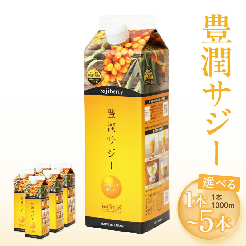 【ふるさと納税】【選べる内容量】豊潤サジー 1000ml サジージュース 紙パック サジー 果物 フルーツ 果実 ジュース ドリンク フルーツドリンク 果実飲料 ピューレ 鉄分 鉄分補給 リンゴ酸 アミノ酸 ビタミンC 植物由来 オーガニック 栄養 おすすめ 宮崎県 宮崎市 送料無料