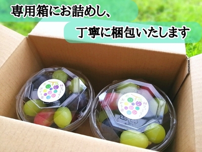 【2616-0292】[産地直送] フルーツ王国岡山！シャインマスカット入りぶどう粒カップ×2