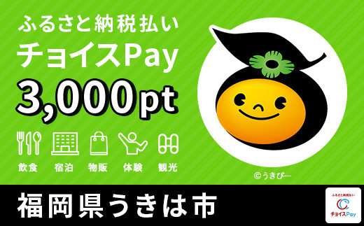 
うきは市チョイスPay 3,000pt（1pt＝1円）【会員限定のお礼の品】
