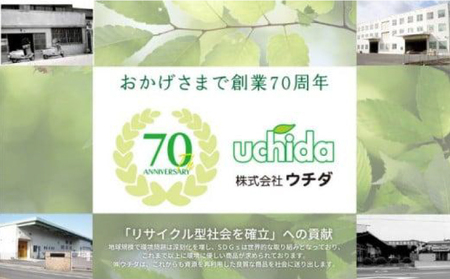 キッチンペーパー 60W×48 エンボス加工  ティッシュ型 キッチン用品 キッチンペーパー ティッシュ 日用品 日用品 【uchida001】