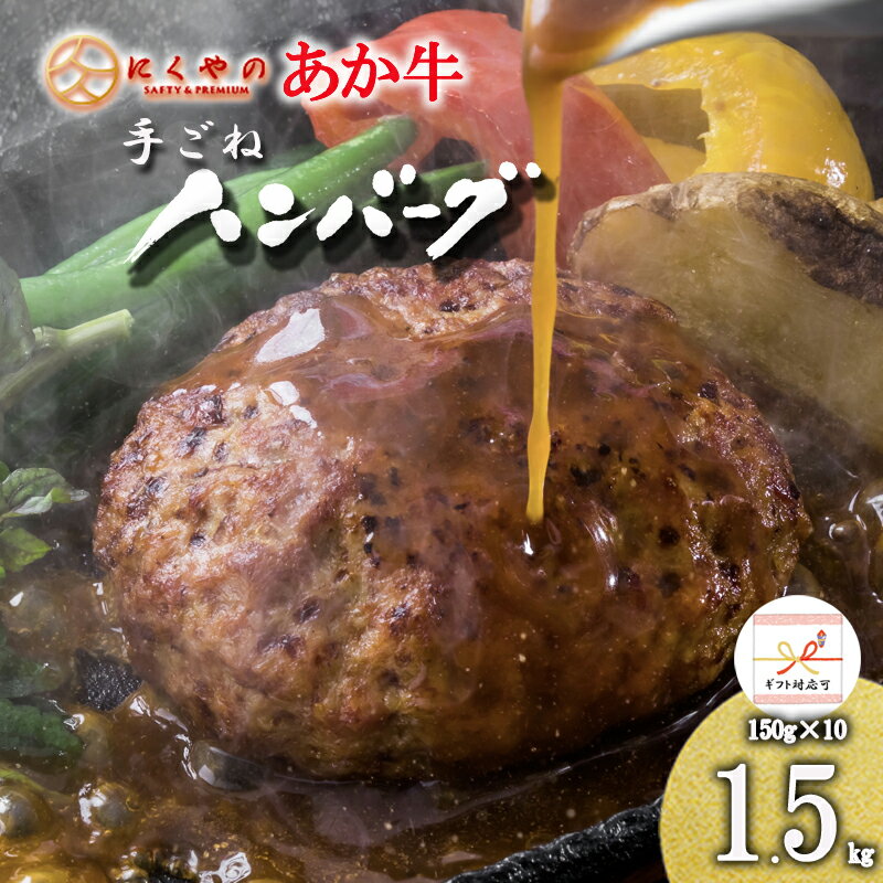 【ふるさと納税】産地直送 くまもと あか牛 ハンバーグ 和牛ハンバーグ 手ごね 手づくり 150g 10個 合計1.5kg 国産原料 矢野畜産 にくやの プレミアムハンバーグ おうちごはん おうち時間 通販 贈答 お中元 お年賀 記念日 冷凍 送料無料【地場産品基準：類型8ハ】