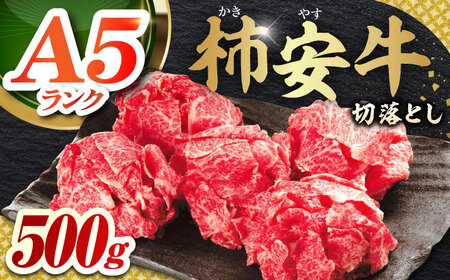牛肉切り落とし500g [AMBW001] 牛肉切り落とし牛肉切り落とし牛肉切り落とし牛肉切り落とし牛肉切り落とし牛肉切り落とし