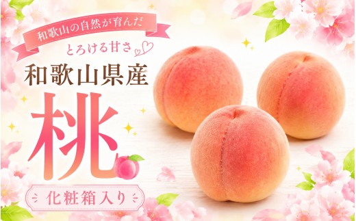 
                  和歌山の厳選白桃 約0.75kg【白鳳・清水白桃・川中島・もも・はくとう】【化粧箱入り】【2026年7月上旬～7月下旬ごろ順次発送】※北海道・沖縄・離島への配送不可※日付指定不可【ikd720】
                