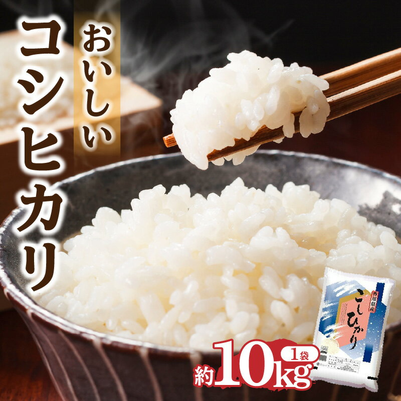 【ふるさと納税】おいしいコシヒカリ約10kg | 米 白米 お米 精米 おいしい ブランド米 粘り つや 甘味 おうち時間 おうちごはん 朝食 昼食 夕食 和食 洋食 瀬戸内 食品 食べ物 お取り寄せ 香川県産 香川県 高松市