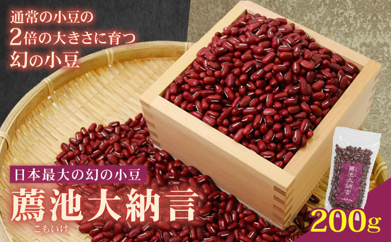
            こもいけ大納言あずき200g あずき 200g 豆 小豆 あずき 幻の小豆 希少 国産 伊根町 京都府 薦池大納言 薦池 大納言 希少 
          