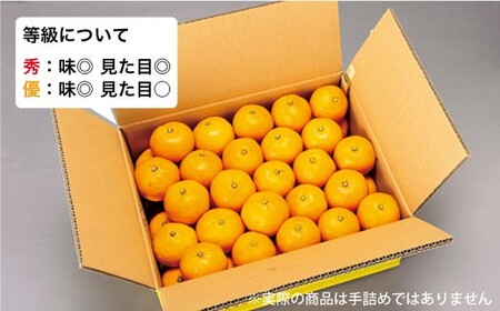 【先行予約☆限定100箱】【訳あり】西海1号 温州 みかん 約5kg（優品/Sサイズ）＜西海柑橘農業協同組合＞ [CCF004]