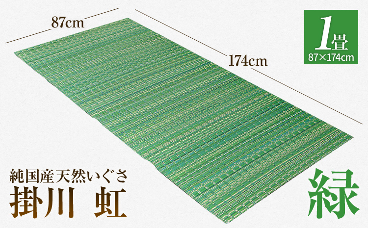 純国産天然いぐさ　「掛川　虹」１畳（緑色）　BG002