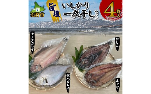 
										
										750032 旨塩 いしかり一夜干しセット（宗八カレイ・ナメタカレイ・ホッケ・にしんの4枚）
									