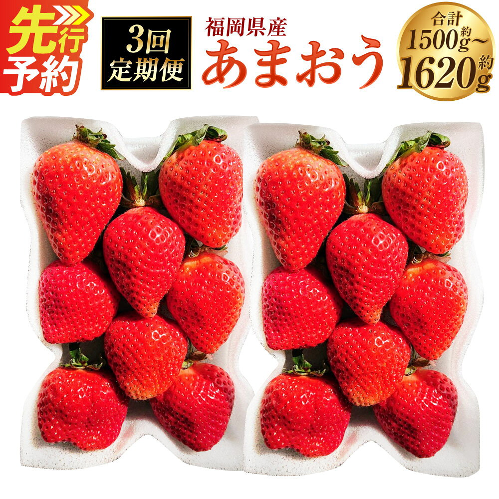 【ふるさと納税】＜選べる容量＞【3回定期便】あまおう （約500～540g×3回 （約1500g～1620g） ／ 約750～810g×3回 （約2250g～2430g） ）【2027年2月上旬～4月下旬発送予定】 ／ あまおう G規格 いちご 苺 ストロベリー フルーツ 果物 国産 福岡県産 遠賀町 冷蔵 送料無料