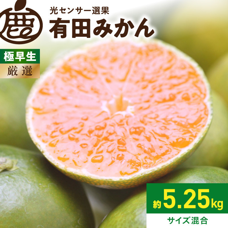 《2026年9月下旬～11月中旬頃に順次発送》【2026年先行予約】厳選 極早生有田みかん約5kg+250g（傷み補償分）ゆら早生みかん【YN26・ゆら早生】【光センサー選果】_ZH7040