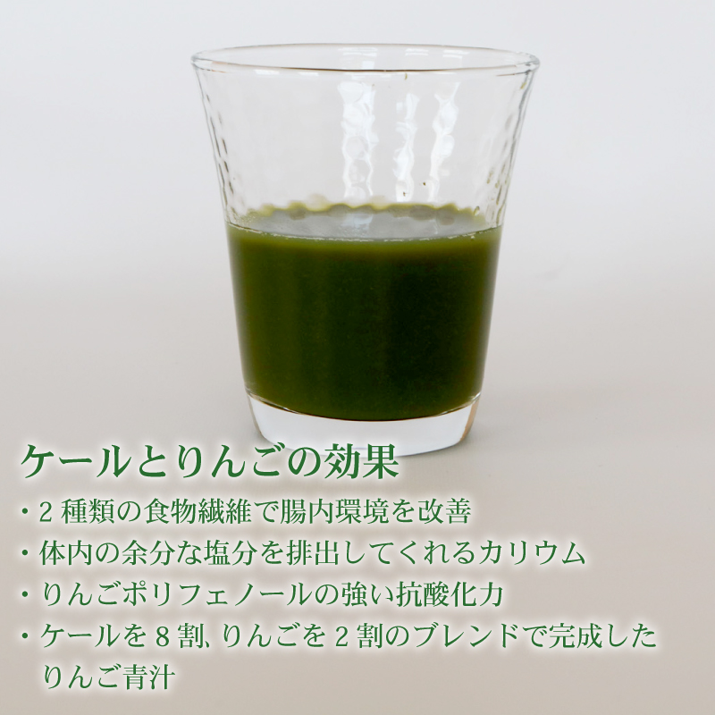 りんご青汁 【生】 冷凍 2箱( 100g × 56袋 )