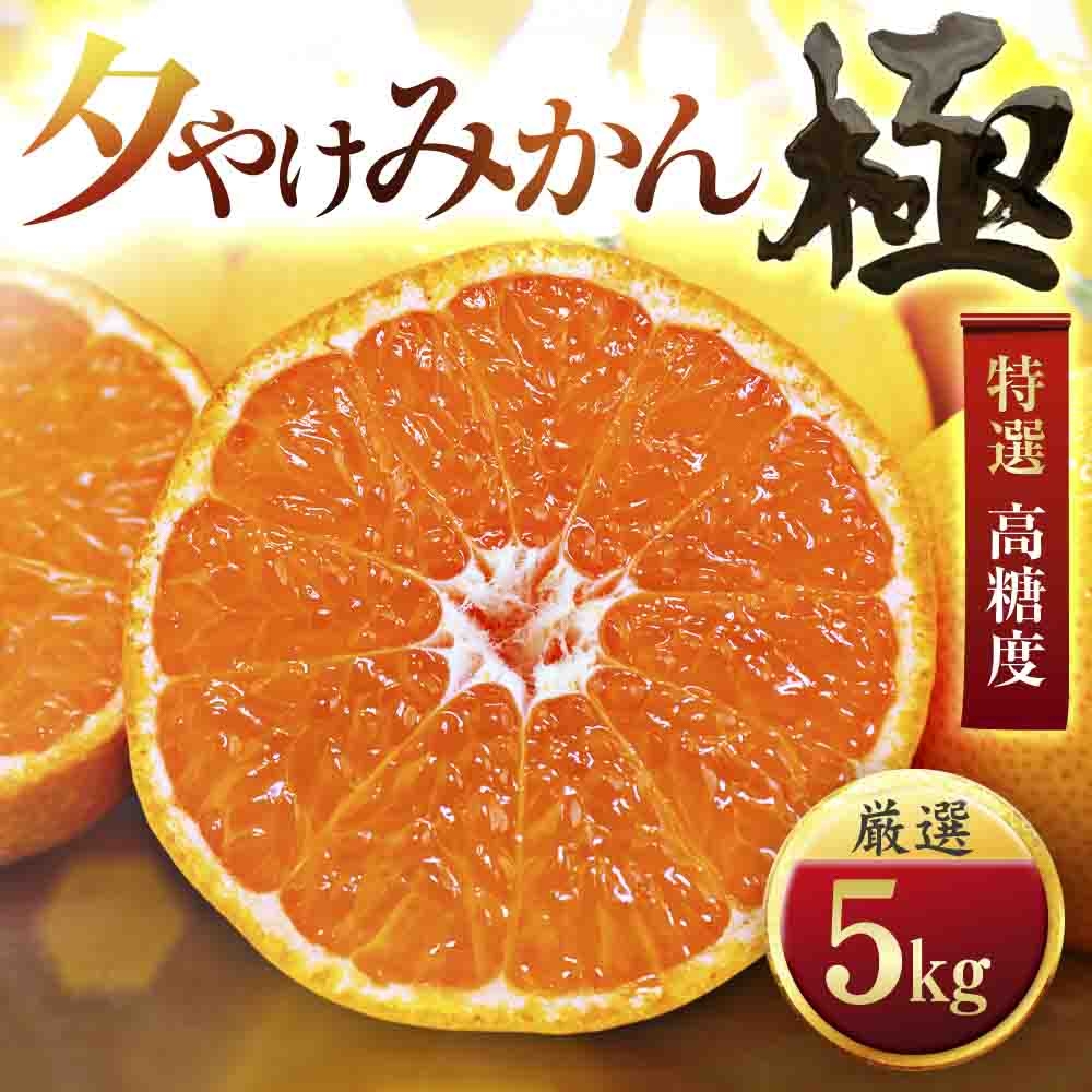 
                  ＜甘みが濃縮されたみかん＞愛媛で育った夕やけみかん＜極＞5kg＜D49-8＞【1243461】 YWTZ010
                