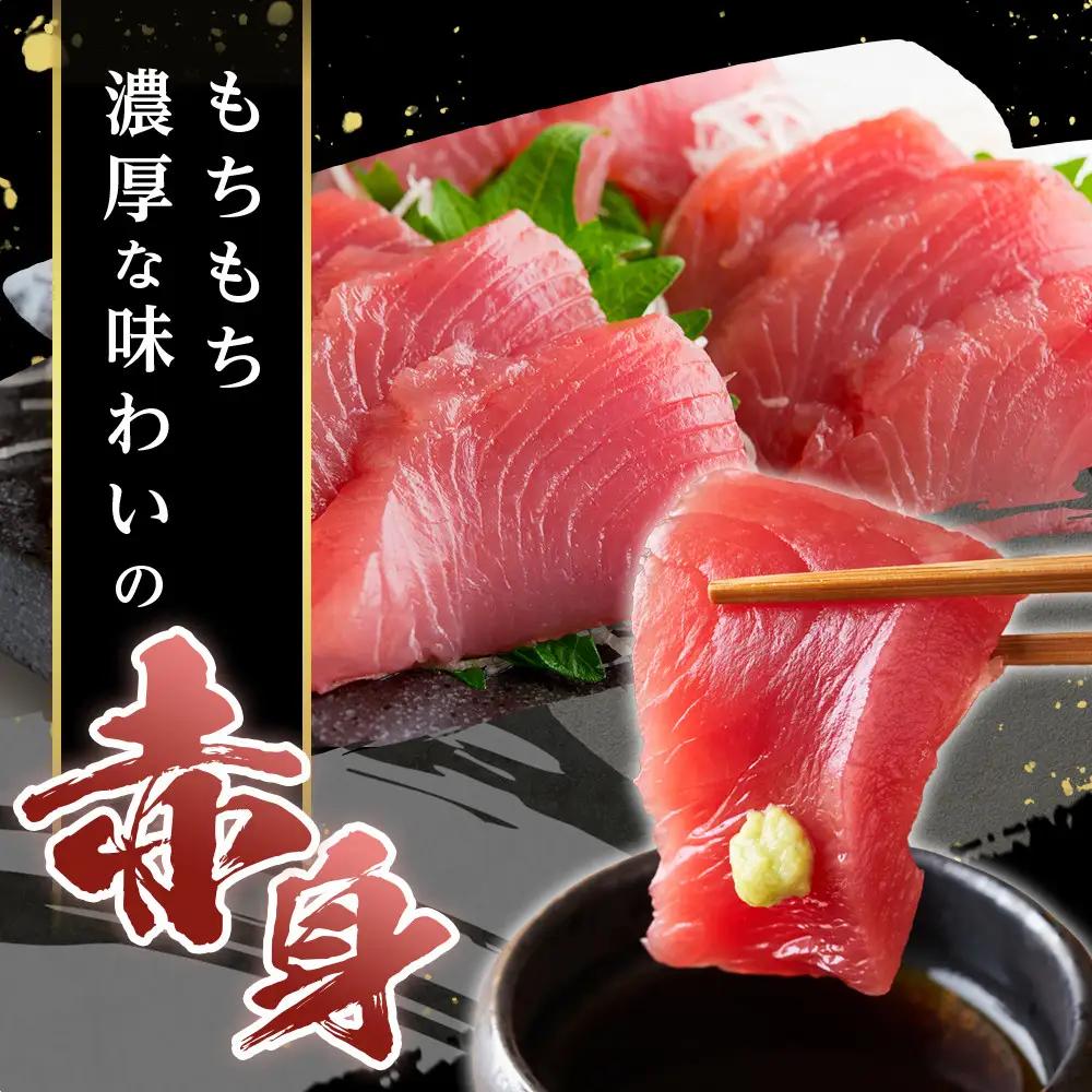 本マグロ トロ+赤身セット 500g | 大トロ 中トロ 鮪 刺身 寿司