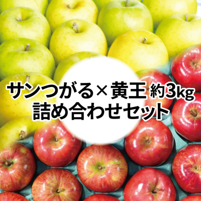 
                  ＜25年8月より順次発送＞糖度12度以上保証! 黄王×サンつがる 約3kg 訳あり クール便【1613853】
                