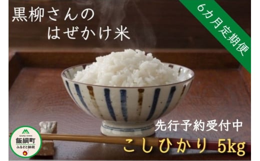 [0281]【令和6年度収穫分】こしひかり 5kg×6回【6カ月定期便】 ※沖縄および離島への配送不可　※2024年11月上旬頃から順次発送予定　黒柳さんのはぜかけ米　長野県飯綱町