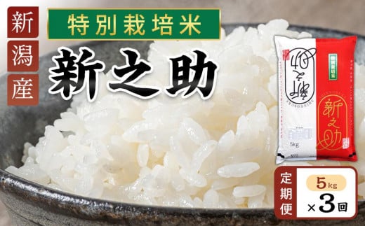 
            【定期便】新之助（特別栽培米）5kg×3ヶ月連続お届け
          