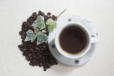 〈定期便・6ヶ月〉【PINROASTER】木屋町ブレンド(挽き)(200g×2)