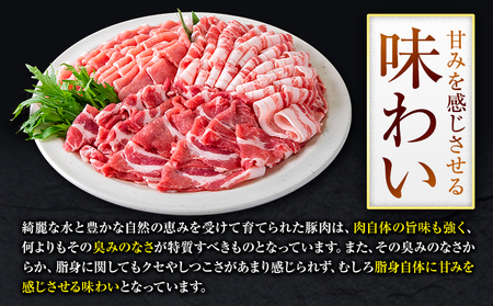 豚肉 小分け しゃぶしゃぶ 豚バラ 豚ロース 熊本 うまか ポーク スライス フィルムタイプ 2.4kg《9月上旬-9月末頃出荷》 お楽しみセット 豚しゃぶ 豚バラ肉 うまかポーク 3種 豚バラエティ
