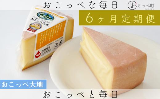 おこっぺ大地2個 6ヶ月定期便