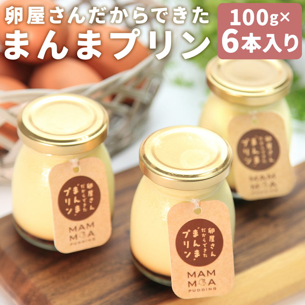 【ふるさと納税】【14営業日以内発送】 卵屋さんだからできた ”まんま” プリン 100g×6本入りセット (計600g) ぷりん 洋菓子 菓子 お菓子 おかし おやつ スイーツ デザート 食品 グルメ 卵 長崎彩黄卵 セット 九州 長崎県 長崎市 冷蔵 送料無料