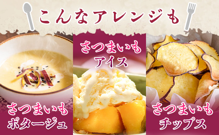さつまいも 熊本県産 紅はるか 3.5kg 日本フルーツ株式会社《11月中旬-6月上旬頃出荷》熊本県 菊池市 さつまいも 薩摩芋 からいも 紅はるか デザート 料理 おやつ 蜜芋 野菜 芋 いも