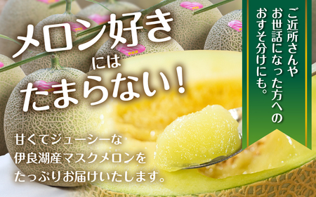 先行予約 伊良湖産 マスクメロン 5玉入り 20箱 計100玉 2024年7月以降順次発送