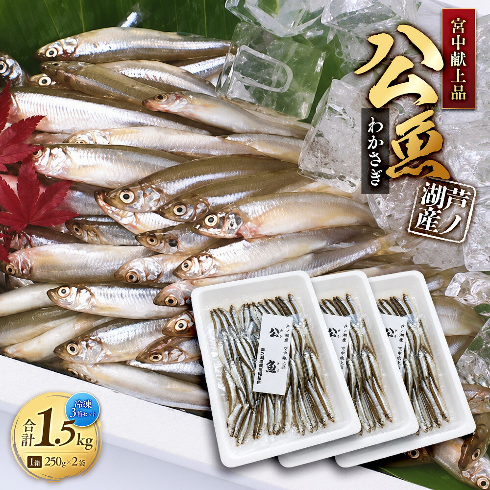 【ふるさと納税】宮中献上品 芦ノ湖産公魚（わかさぎ）（冷凍250g×2袋）×3箱セット 合計1.5kg | 魚 お魚 さかな 食品 人気 おすすめ 送料無料