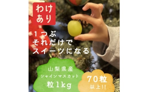 ＜年内発送＞＜訳あり＞冬に食べられる シャインマスカット 粒 (1kg以上)山梨産【1694125】