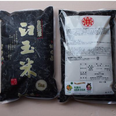 ふるさと納税 糸魚川市 令和7年産 臼玉米(こしいぶき・精米)5kg×2