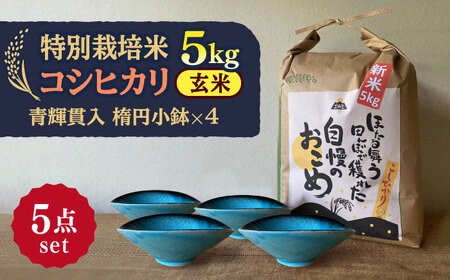 【令和7年産】 玄米 コシヒカリ 特別栽培米 （5kg） + 【美濃焼】 青輝貫入 楕円小鉢 （4枚） 多治見市 / 山松加藤松治郎商店 [TEU044]