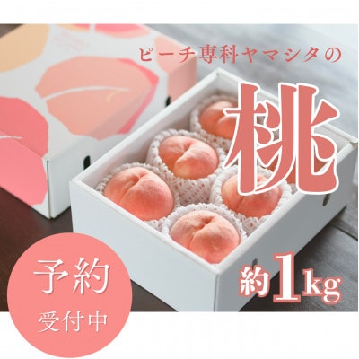 先行受付!【2026年7月発送開始】桃の産地山梨からお届け　ピーチ専科ヤマシタの桃　1kg【配送不可地域：離島】