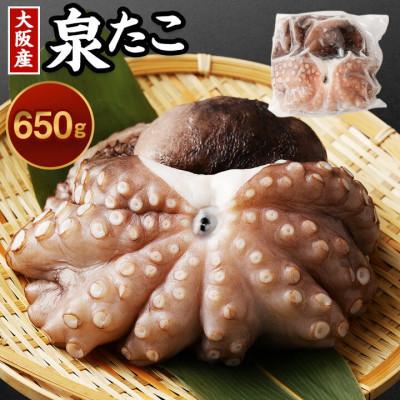 ふるさと納税 阪南市 ■先行受付【10月17日より順次発送】秋土用の辰「大阪産 泉タコ(生たこ) 650g」
