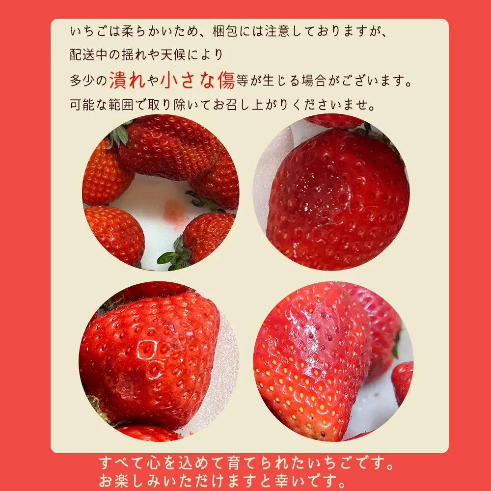 【先行予約／2027年出荷】農家直送！特別栽培 あまおう 約270ｇ前後 × 2パック ふるさと納税 いちご イチゴ 苺 赤村 果物 くだもの フルーツ ジャム にも ケーキ にも 先行予約 数量限定