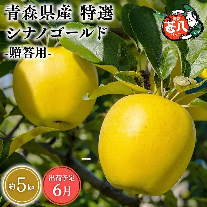 りんご 特選 甚八りんごシナノゴールド５kg