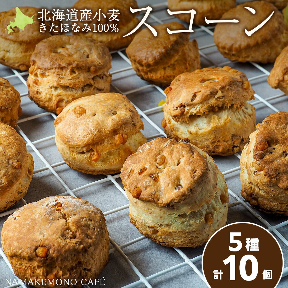 【ふるさと納税】スコーン 5種 10個 セット 北海道産 各2個 ミルク チョコ メープル ギフト北海道ふるさと納税 北海道産 小麦 北海道 牛乳 スコーン パン菓子 焼き菓子 お菓子 食べ比べ ふるさと納税 北海道 千歳市 【北海道千歳市】