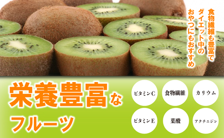 先行予約 キウイ 約1.4kg キウイフルーツ グリーンキウイ 香緑キウイ 11月下旬～1月中旬 配送 家庭用 贈答用 ギフト プレゼント 香川県 丸亀市