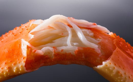 ボイル ずわい蟹 4L サイズ 3kg (7 ～ 9肩) 【11】 かに カニ ずわい蟹 足 脚 ボイル