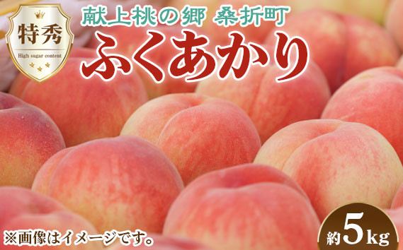 
No.173 もも（ふくあかり）特秀　5kg　桑折町産　JAふくしま未来　桃 ／ 果物 フルーツ モモ 福島県 特産品
