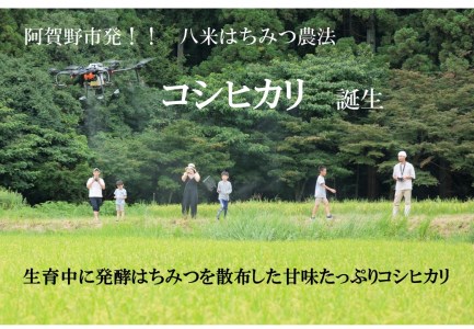 【令和7年産】【環境大臣賞受賞】【特別賞受賞】無洗米 コシヒカリ 10kg 農家直送 ほんのり甘い「はちみつ農法」 白米 精米 HACHIBEI 八米  1L08025