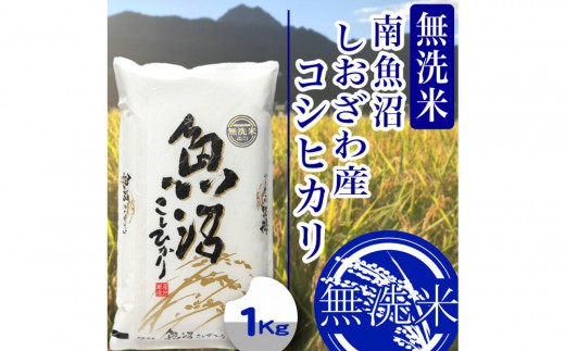 【令和8年産　新米予約】【1Kg】無洗米南魚沼しおざわ産コシヒカリ【銘柄米 無洗米 こしひかり コシヒカリ 魚沼産 新潟米 お米 米 ごはん】【2026年10月上旬より1ヶ月以内に順次発送予定】