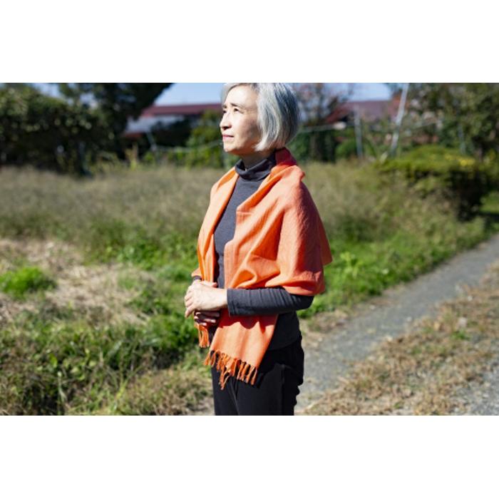 【ふるさと納税】【現代の名工作】上品な光沢の華やかなシルクウールストール(2色）